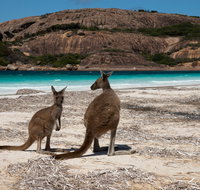 Cape Le Grand National Park - Tourism Gold Coast