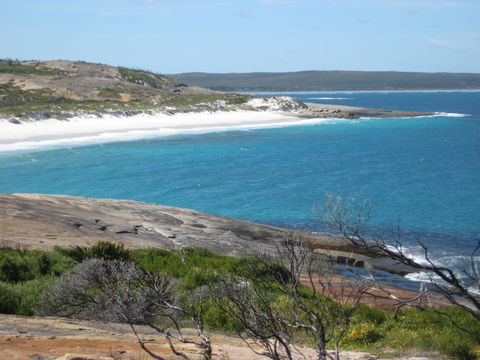 Cape Arid National Park - Tourism Gold Coast 1
