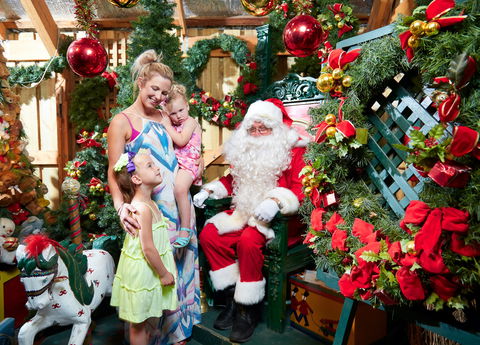 Christmas Tree Farm - Gold Coast 2