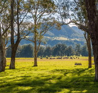 Coast to the Highlands Scenic Drive  Kangaroo Valley - Tourism Gold Coast