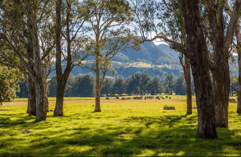 Coast To The Highlands Scenic Drive – Kangaroo Valley - Tourism Gold Coast 0