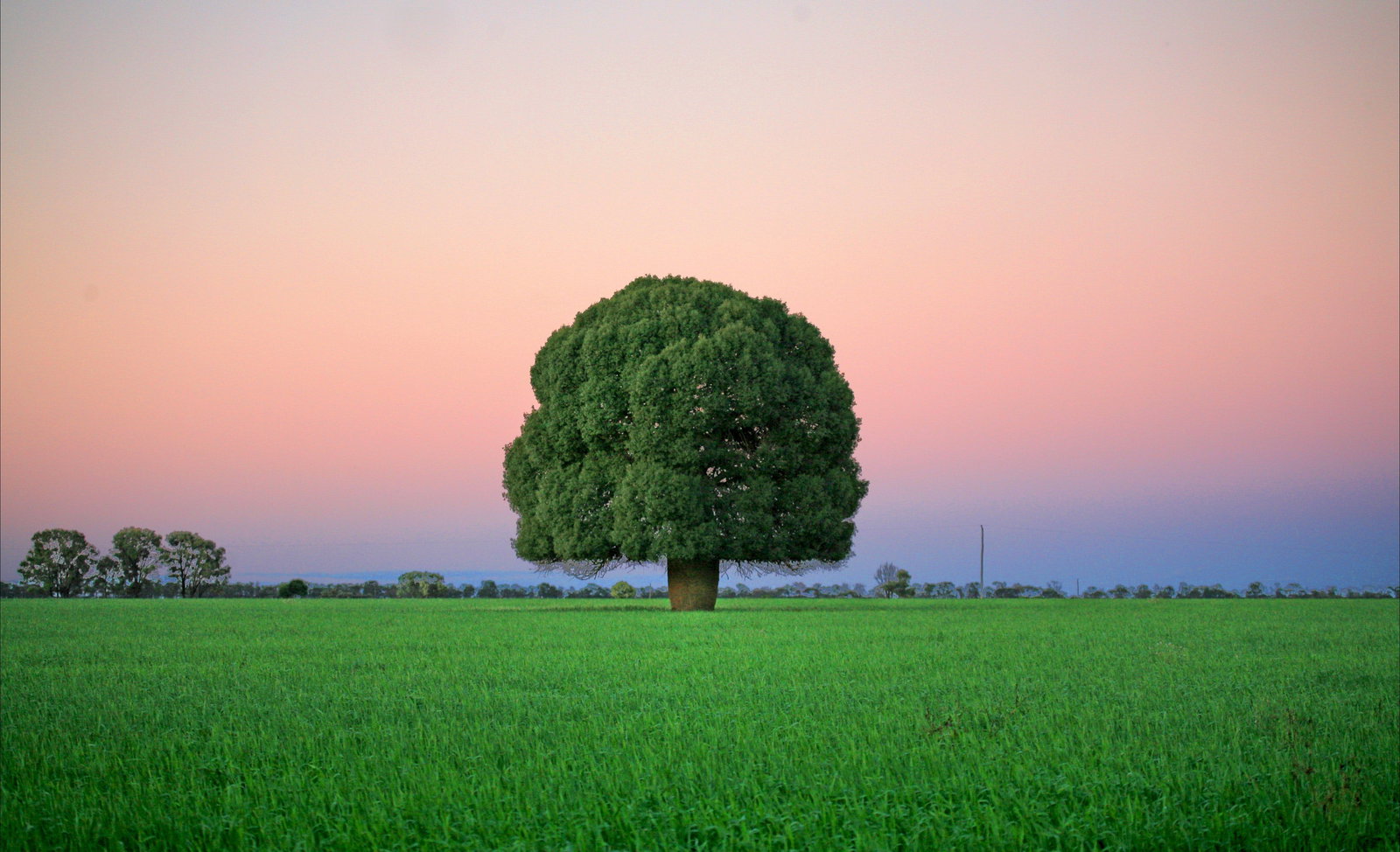 Pine Hills QLD Tourism Gold Coast