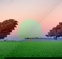 Condamine - Tourism Gold Coast