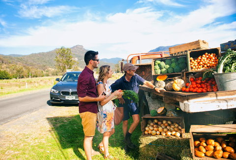 Darlington Park - Gold Coast 1