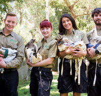 Featherdale Wildlife Park - Tourism Gold Coast
