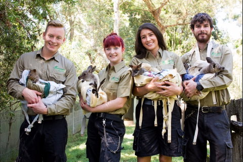 Featherdale Wildlife Park - Tourism Gold Coast 0