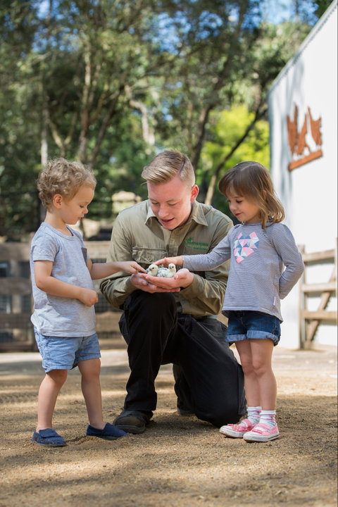 Featherdale Wildlife Park - Tourism Gold Coast 2