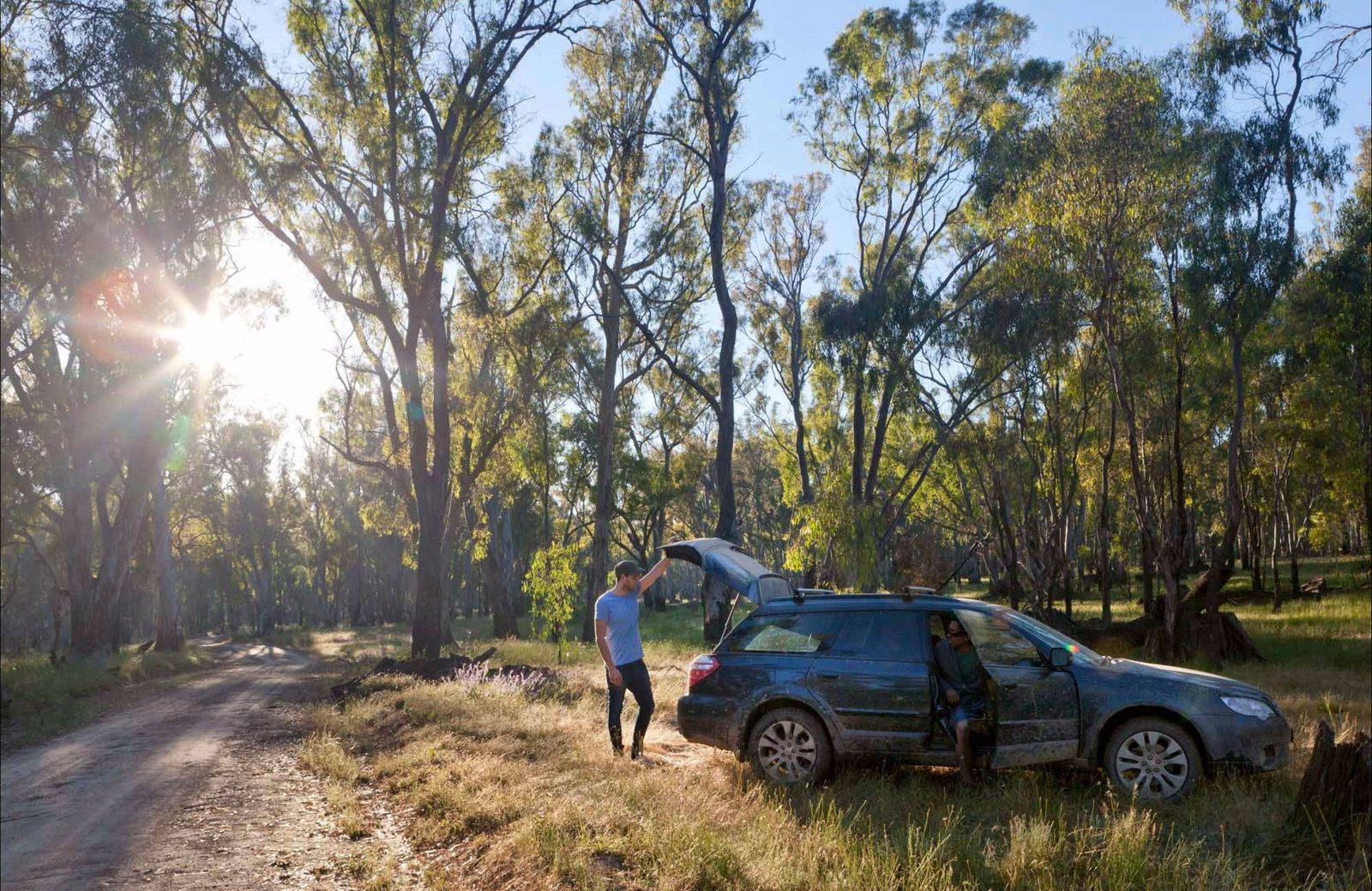Cudgel NSW Tourism Gold Coast