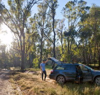 Forest Drive Murrumbidgee Valley National Park - Tourism Gold Coast
