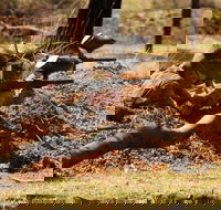 Freycinet Paintball and Campground - Tourism Gold Coast