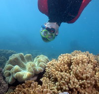 Geoffrey Bay Snorkel Trail - Tourism Gold Coast