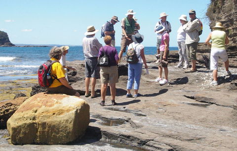 Gondwana Coast Fossil Walk - Tourism Gold Coast 0