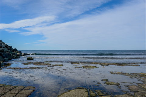 Gondwana Coast Fossil Walk - Tourism Gold Coast 1