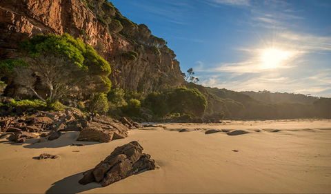 Greenglade Picnic Area - Tourism Gold Coast 0