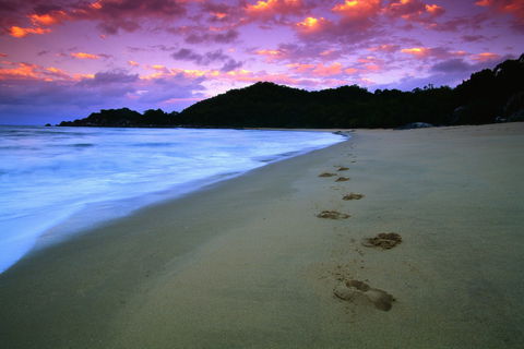 Hinchinbrook Island National Park - Tourism Gold Coast 2