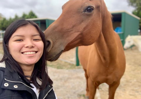 Horses Teaching Humans - Tourism Gold Coast 0