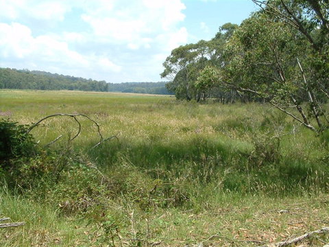 Hume And Hovell Walking Track - Tourism Gold Coast 2