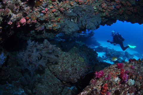 Hutchinson Shoal Dive Site - Gold Coast 0