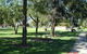 Inglewood Apex-Lions Park - thumb 0