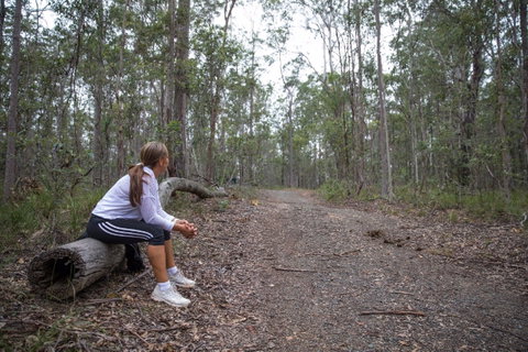Ironbark Ridge And Spotted Gum Walking Trails - Tourism Gold Coast 1