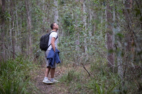 Ironbark Ridge And Spotted Gum Walking Trails - Tourism Gold Coast 2