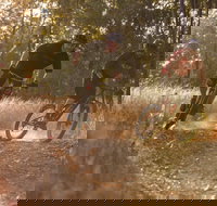 Kholo Gardens Trails - Gold Coast