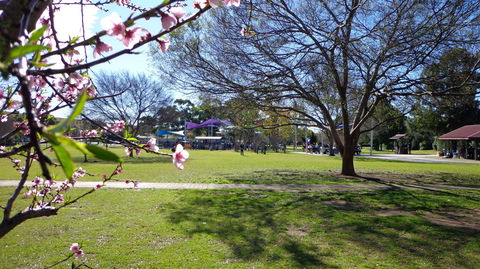Koshigaya Park - Tourism Gold Coast 0