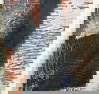 Lighthouse View - Gold Coast