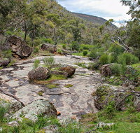 Lynchs Loop Trail - Tourism Gold Coast
