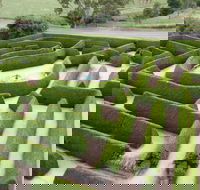 Mintaro Maze - Tourism Gold Coast