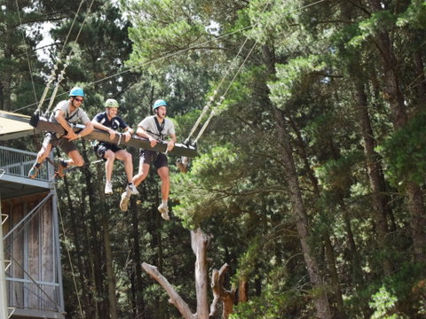Mount Lofty Adventure Hub - Tourism Gold Coast 1