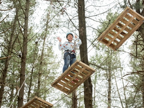 Mount Lofty Adventure Hub - Tourism Gold Coast 2