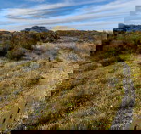 Murramarang Aboriginal Area Walking Track - Tourism Gold Coast