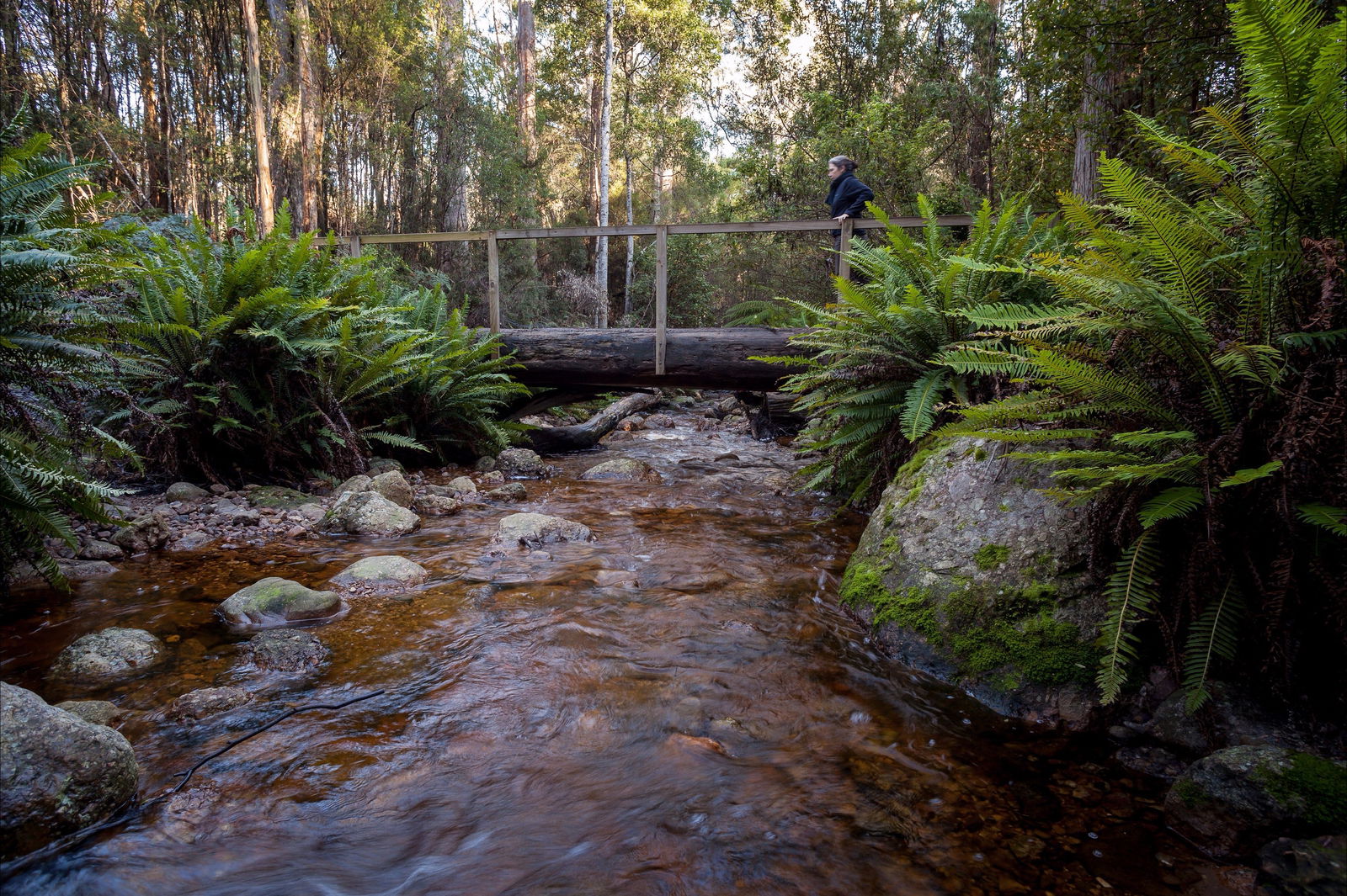 Gowrie Park TAS Tourism Gold Coast