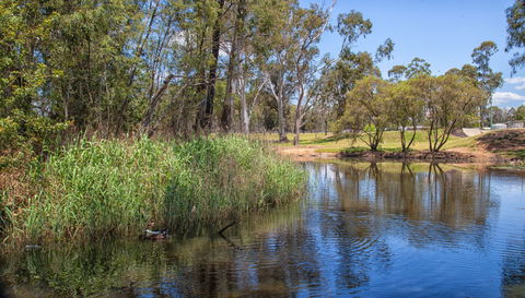 Pioneer Park - Tourism Gold Coast 2