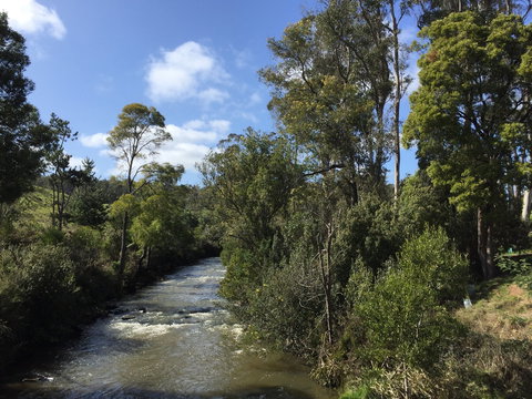 Pipers River Board Walk - Tourism Gold Coast 1