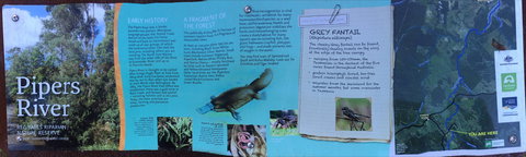 Pipers River Board Walk - Tourism Gold Coast 2