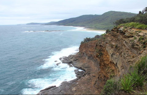 Pretty Beach To Snapper Point Walking Track - Tourism Gold Coast 0