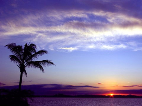 Quoin Island Retreat And Turtle Rehabilitation Centre - Tourism Gold Coast 0