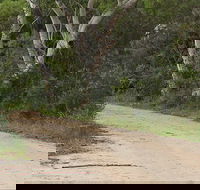 Riverview walking track - Tourism Gold Coast