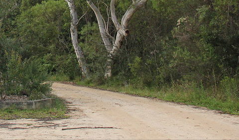 Riverview Walking Track - Tourism Gold Coast 0