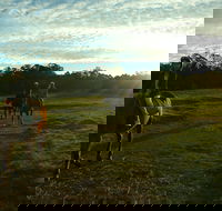 Scenic NSW Horse Riding Centre - Tourism Gold Coast