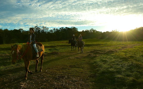 Scenic NSW Horse Riding Centre - Tourism Gold Coast 0