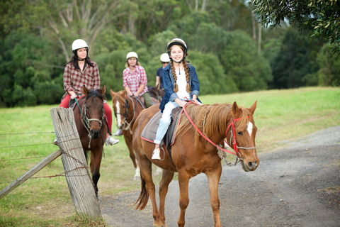 Scenic NSW Horse Riding Centre - Tourism Gold Coast 2