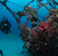 Severance Shipwreck Dive Site - Tourism Gold Coast