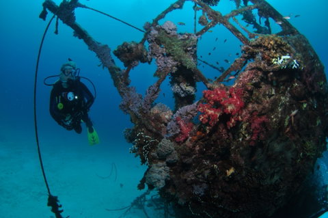 Severance Shipwreck Dive Site - Tourism Gold Coast 0