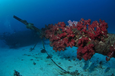 Severance Shipwreck Dive Site - Tourism Gold Coast 2