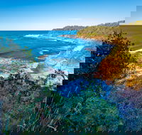 Shellgrit Beach Red Head - Tourism Gold Coast