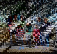 State Forests of the Watagan Mountains - Tourism Gold Coast