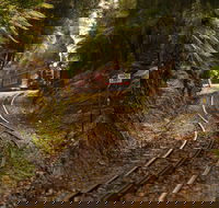 The West Coast Wilderness Way - Tourism Gold Coast